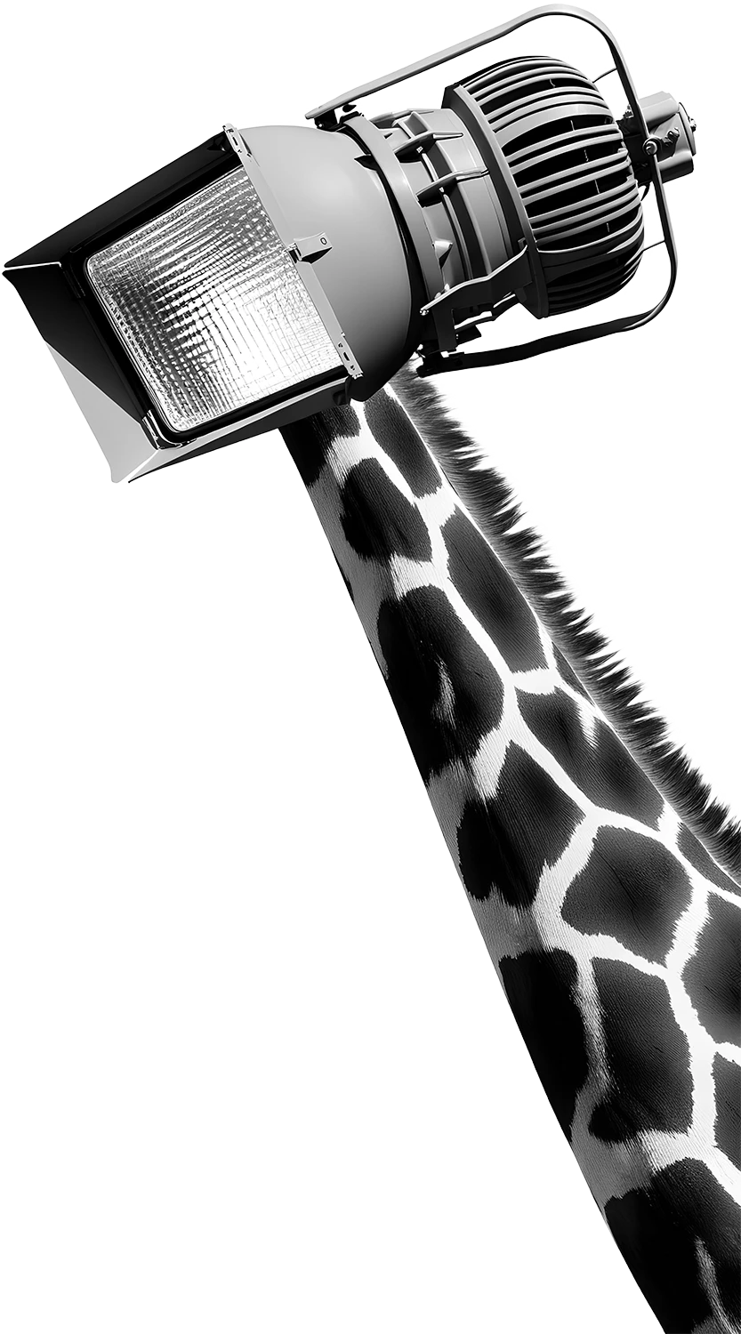 ExtendedBot Highlights Avatar - JKM1